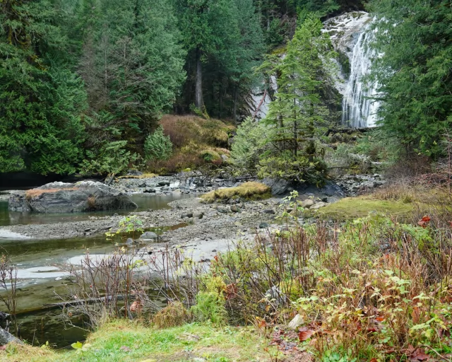 #PrincessLouisaInlet yesterday. Such a special place; especially in winter when it is storming everywhere else.